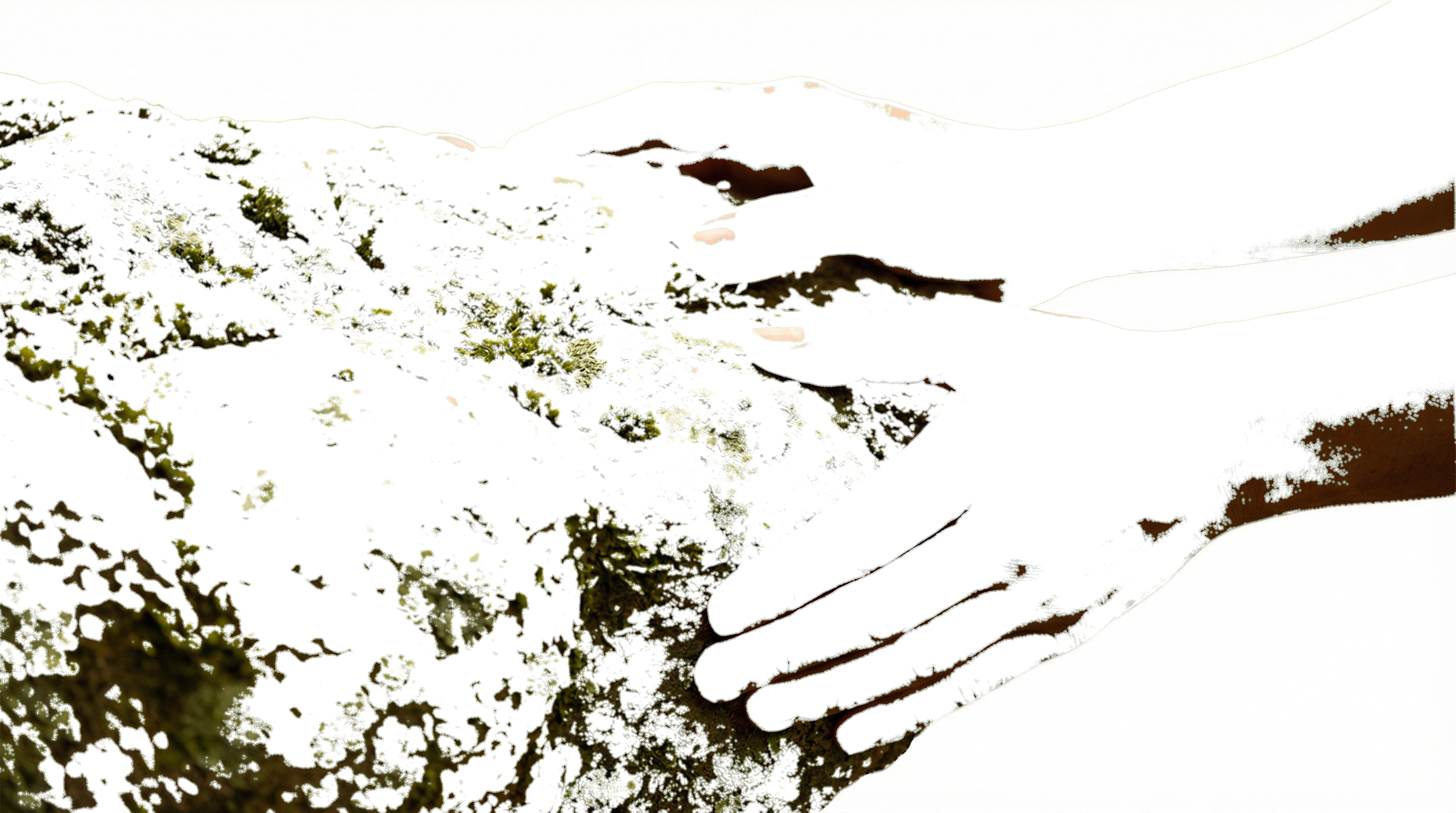 Mani a contatto con la natura